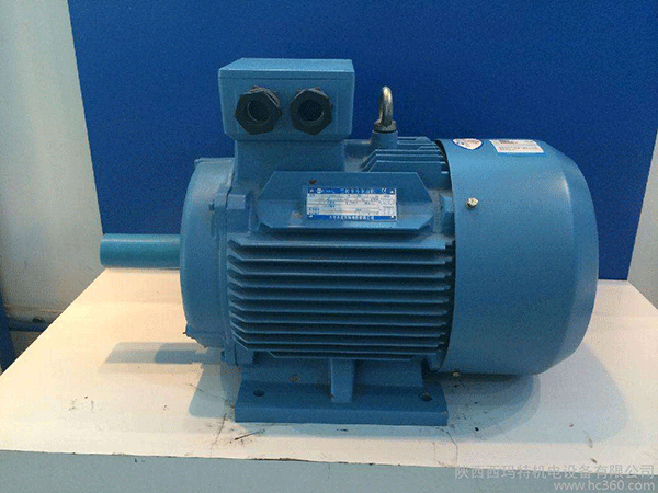高效節(jié)能電機(jī)是西安泰富西瑪未來商業(yè)發(fā)展的方向。